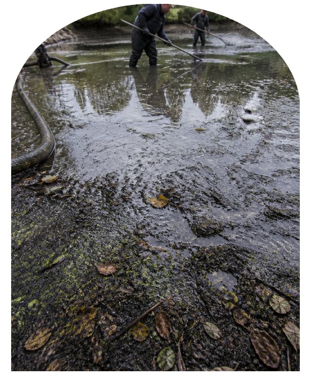 Очистка пруда в Иркутске от ила мусора и водорослей с вывозом